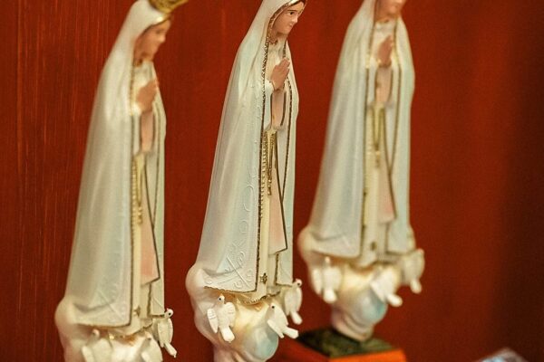 1730239619004 1730239619004